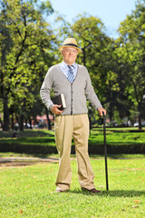 Fototapeta premium Senior gentleman posing in park