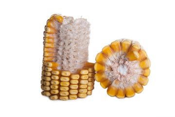 broken corn