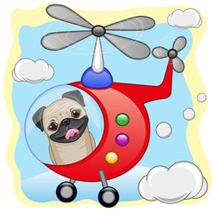 Pug Dog in helicopter