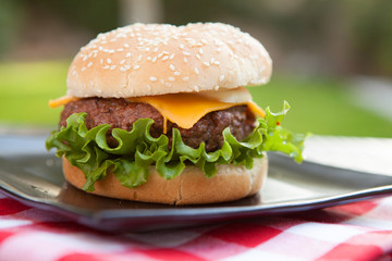 Cheeseburger