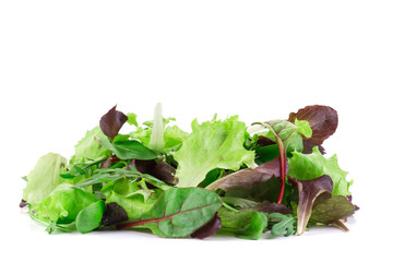 Green and red leaf of lettuce close up.