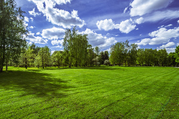 Obraz premium Green grass field