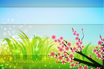 Fototapeta premium spring bg