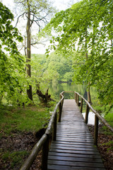 Obraz premium At the lake