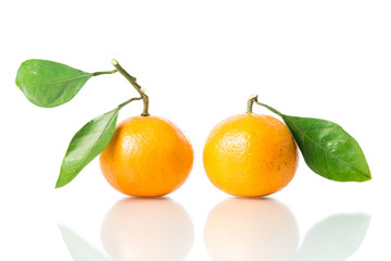 Orange fruit isolated