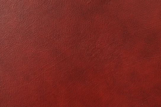 Cuir bordeaux