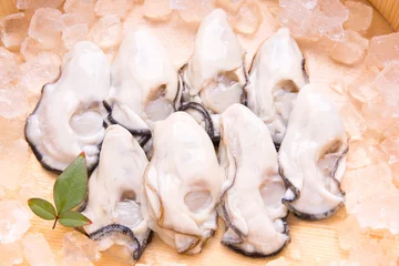 Velours gordijnen 牡蠣 © promolink