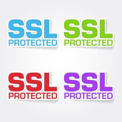 SSL Protected Colorful Vector Icon Design