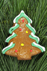 homemade christmas tree gingerbread on fir tree