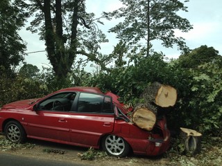 car deatroyed by falling tree in storm