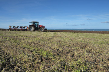 Fototapeta premium agriculture