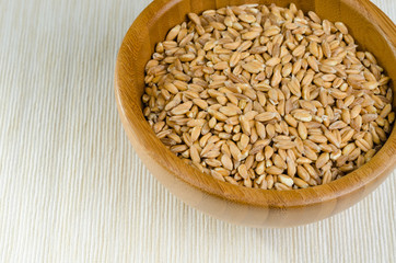 spelt, close up
