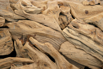 Pieces of ornamental dried wood