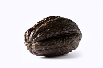 Cocoa cacao bean