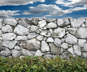 old rock wall with green plant