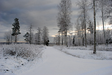 verschneite Straße