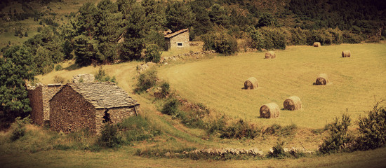 Fototapeta na wymiar Landscape with harvested bales of straw in field