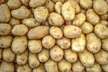 Potatoes