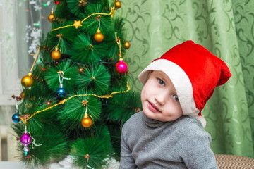 Boy sitting in a cap of Santa Claus at Christmas tree