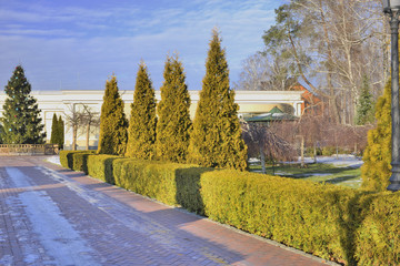 В зимнем парке © ais60