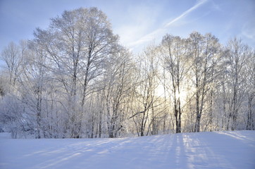 Fototapeta premium Winter-Stimmung