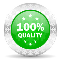 quality green icon, christmas button