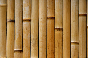 bamboo fence