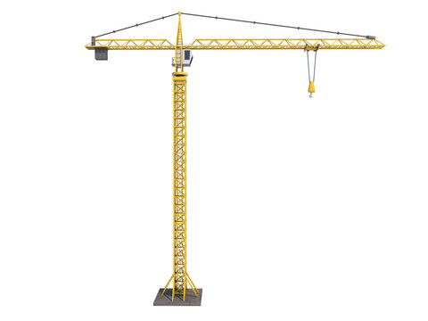 Grue c&ocirc;t&eacute;