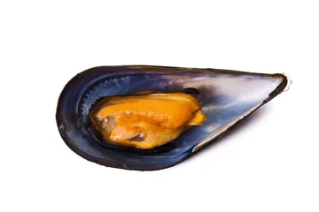 Foto op Aluminium mussels isolated on white background © carballo