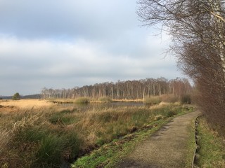 Moorgebiet in Norddeutschland