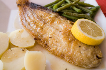 Grilled sole