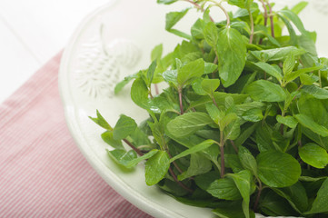 Mint Leaves