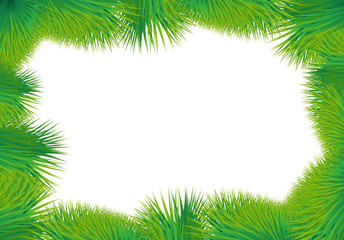 Fototapeta na wymiar Card with green grass on a white background. Vector image
