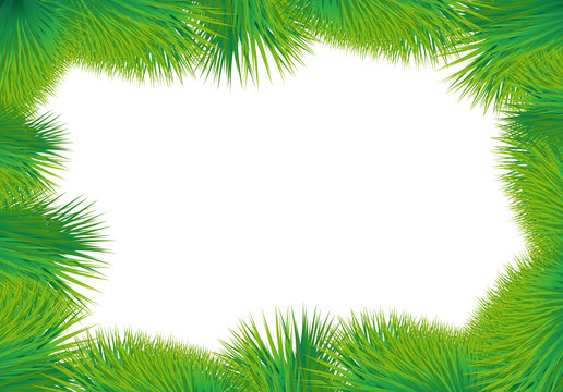 Card with green grass on a white background. Vector image