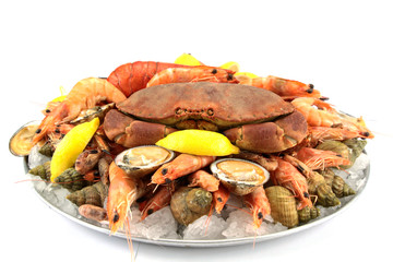 plateau de fruits de mer