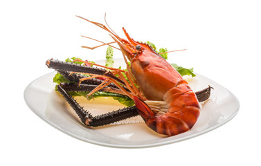 Giant Freshwater Prawn