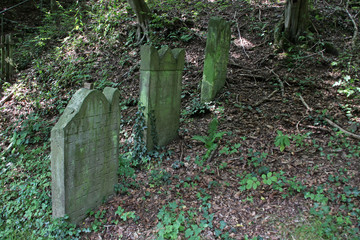 Naklejka premium Jüdischer Friedhof Schwalenberg