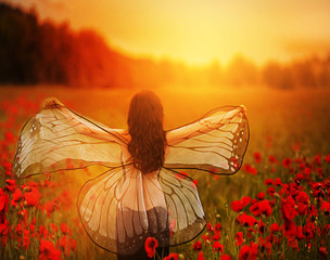 pretty girl with butterfly wings in the poppy field
