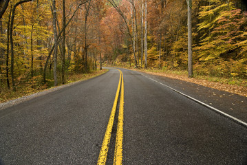 Fototapeta premium Road in Rain