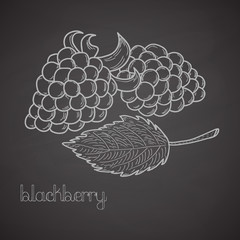 Chalkboard label with blackberries and leaf