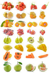 fruits