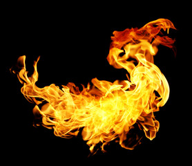 Fototapeta premium High resolution fire collection isolated on black background
