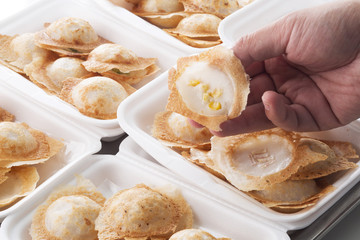 Hand holding coconut Rice Cake