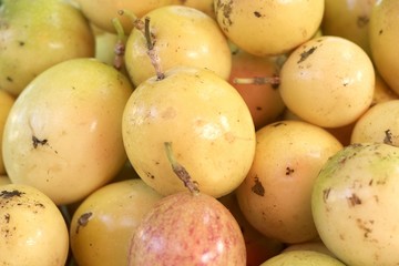 close up of passion fruit
