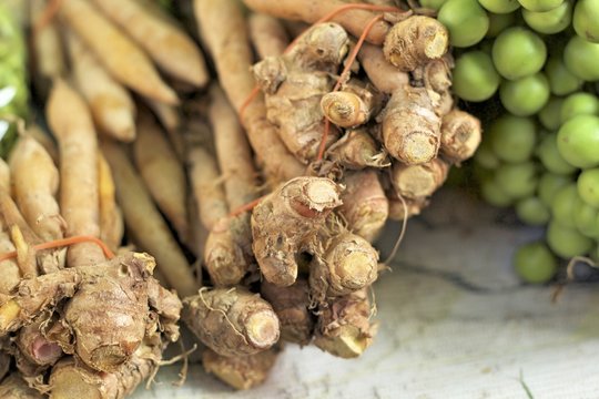 Fresh kaempfer in the market