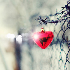 Red heart, barbed wire and metal gauze.
