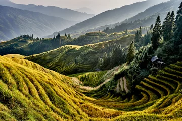 Papier Peint photo Chine Les rizières en terrasses Wengjia longji Longsheng Hunan Chine