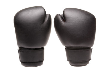 par boxing gloves on a white background.