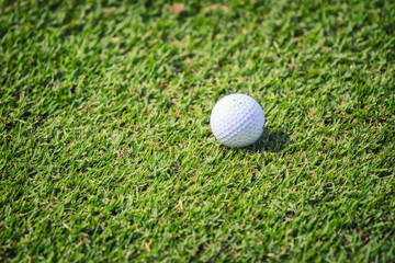 Golf ball on grass