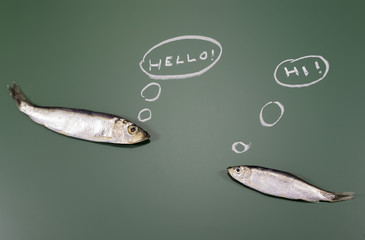 Fish talking